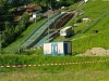 IMG_20240511_094747